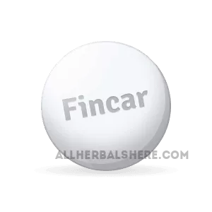 Buying_Fincar_online